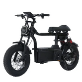 Kugoo T1 Electric Bicycle | 48V 15 Ah