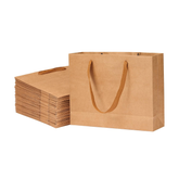 Willow 10-Pack Shopping Paper Bags Kraft Plain Paper Bags 230gsm with Ribbon Handle