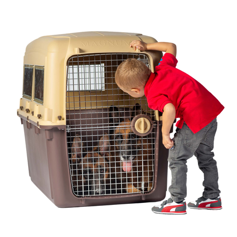 Airline Complient Dog Crate 115x69x85cm - MAGNUM