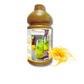 Mango Concentrated Syrup