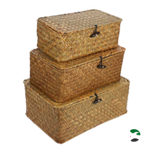 Willow Rattan Storage Basket Makeup Organizer Multipurpose Container with Lid (S/M/L)