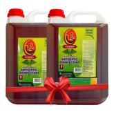 Swish Super V2 Antiseptic Antibacterial Disinfectant Liquid, 5L (Pack of 2)