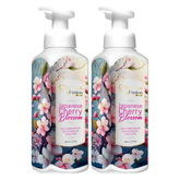 Swish Super Natural Fusion Liquid Foaming Hand Soap | Moisturizing Foaming Hand Wash (Pack of 2)