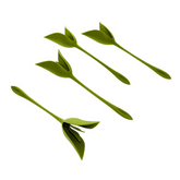 Silicon Tissue and Napkin Holder 4 Pieces, Green