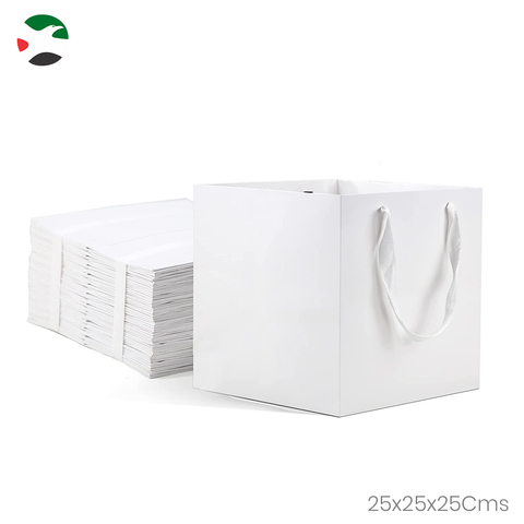 Willow 12 Packs Square White Kraft Paper Bag with Ribbon Handle Size 25x25x25Cms