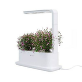 Intelligent Plant Desktop Grow Box Indoor Garden Kit