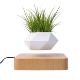 Levitating Air Bonsai Pot For Plants