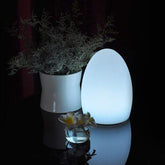 LED Night Lights Egg Lamp Christmas Decor RGB color change D10*H15cm