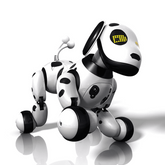 Mytoys Mt-900 Remote Control zoomer Dog