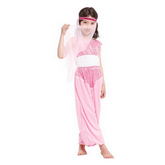 Little Adventures of Aladdin Arabian Princess Costume
