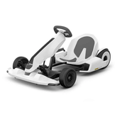 NineBot Mini Pro Scooter - Segway + Generic Electric Go Kart for Adult and Kids