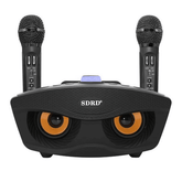 SD 306 Bluetooth Speaker with Two Wireless Microphone