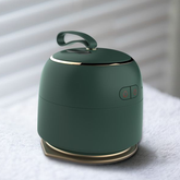 Aipower Portable Electric Iron For Travel (Green)