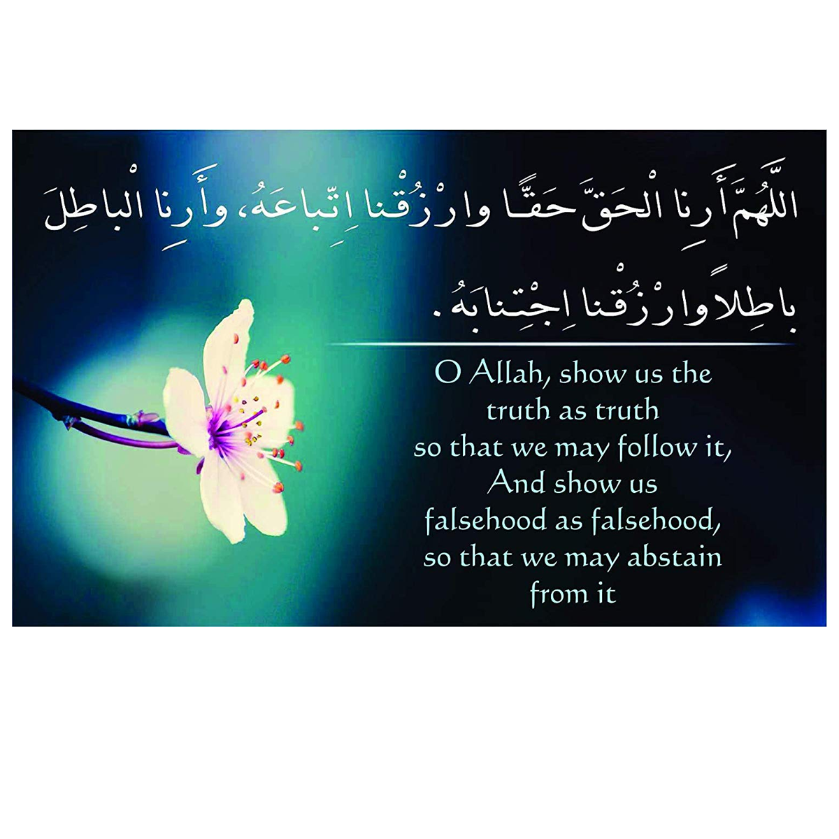 Post Card Size Islamic Fridge Magnets 6 X 4 N009 Emaratshop post-card-size-islamic-fridge-magnets-6-x-4-n009-emaratshop