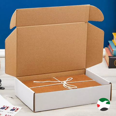 White Kraft Paper Box Carton 24x20x7 Cm (10Pc Pack) - Willow