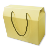 Heavy Duty Medium YELLOW Kraft Corrugated Boxes with Rope Handles 30x14x26Cm (10Pc Pack) - Willow