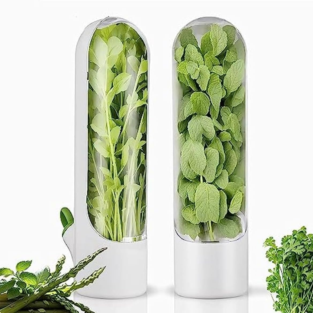 Olmecs Large Refrigerated Herb Fresh-Keeping Box, Refrigerated Coriander Storage Box (2Pc Pack)