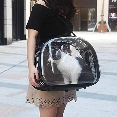 Hard Case Transparent Cat Carrying Bag - Ferribiella