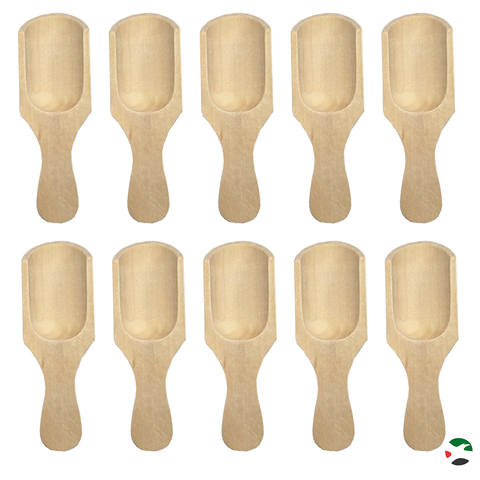 Willow 12Pcs Mini Wooden Spoon, Bath Salt, Bamboo Spoon, Powder Spoon, Tea Spoon