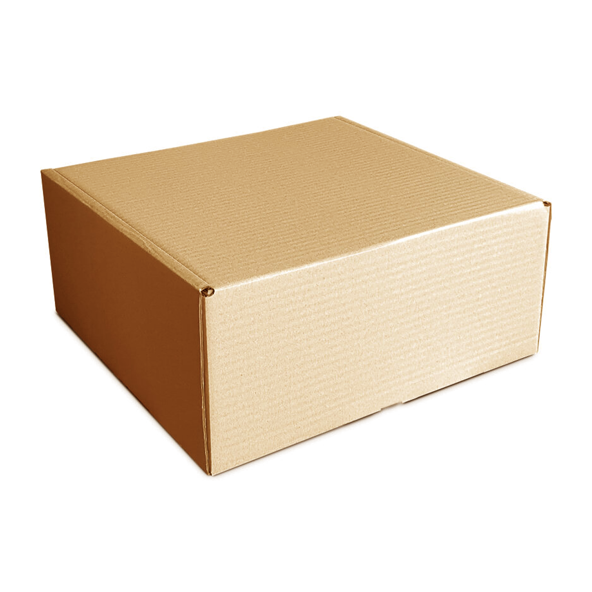 Kraft Brown Corrugated E-Flute Carton Boxes 23.5x17.5x11 Cm (100Pc Pack) - Willow