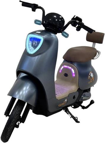 VLRA Q8 Classic Electric E-BIKE