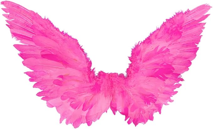 Halloween Angel Wings and Devil Wings