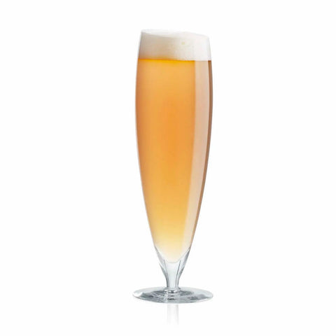Eva Solo  Beer glass - 6 pcs - 500ml.