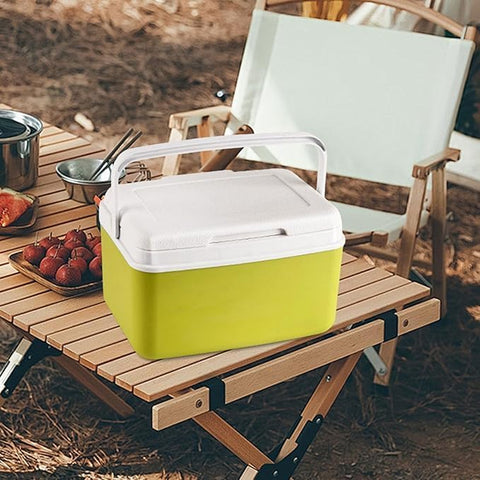 Insulated Cooler Box with Ice Packs – Portable Ice Chest for Camping ( 15 Ltr )