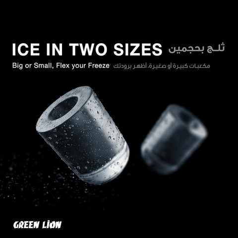 Green Lion Stainless Steel Countertop Ice Maker with Handle, Self-Cleaning Ice Maker Machine with 2 Sizes of Bullet Ice