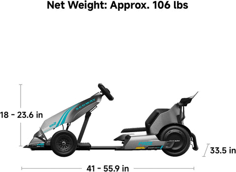 Ninebot GoKart Pro Upgraded Version 4800W 40kmh Speed