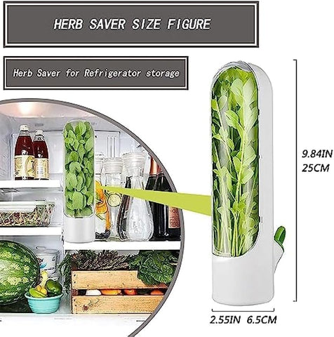 Olmecs Large Refrigerated Herb Fresh-Keeping Box, Refrigerated Coriander Storage Box (2Pc Pack)