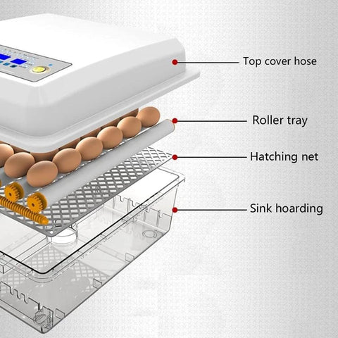 12 Egg Incubator Digital Mini Automatic Incubatores With LED High-Efficiency Automatic Egg Turning & Temperature Control