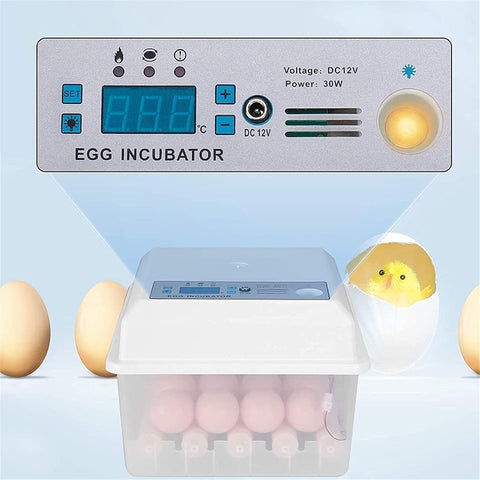 12 Egg Incubator Digital Mini Automatic Incubatores With LED High-Efficiency Automatic Egg Turning & Temperature Control