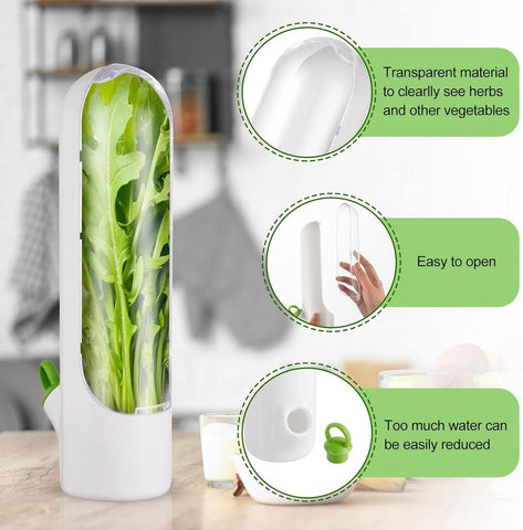 Olmecs Large Refrigerated Herb Fresh-Keeping Box, Refrigerated Coriander Storage Box (2Pc Pack)