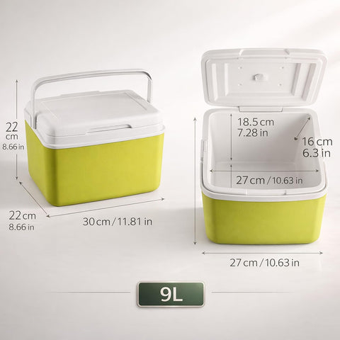 Insulated Cooler Box with Ice Packs – Portable Ice Chest for Camping ( 9 Ltr )