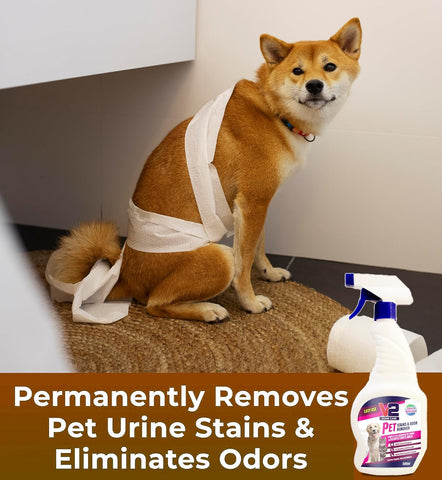 Swish Super Pet Stains and Odor Remover 2x5L + 500ml Spray Bottle (2)