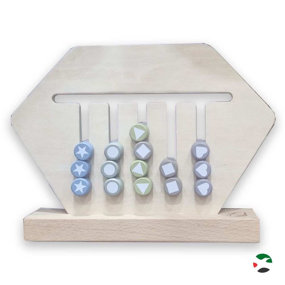 EMMA Wooden Fun Brain Teaser Sorting Game – Emaratshop