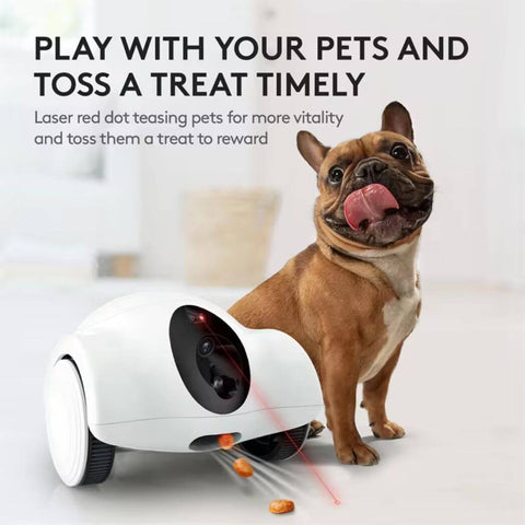 GuliGuli Hiibo Pet Smart Companion Robot