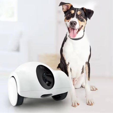 GuliGuli Hiibo Pet Smart Companion Robot