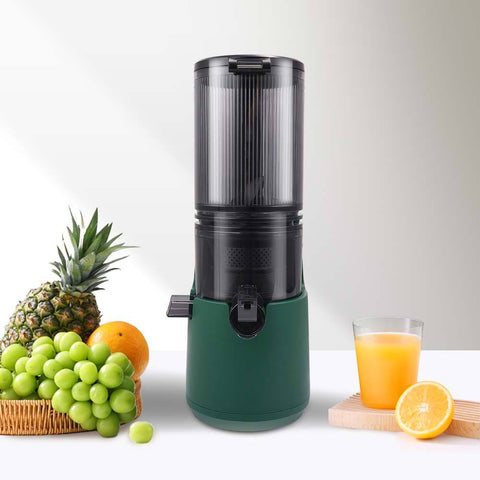 Winning Star Fruit Cold Press Juicer 300ml 200W Winning Star Fruit Juice Extractor