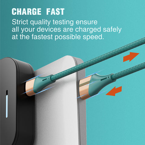 LDNIO 2 Mtr 30W Charger Cable for Android Phone Fast Charging Data Communication Cable Micro USB Type C Cables