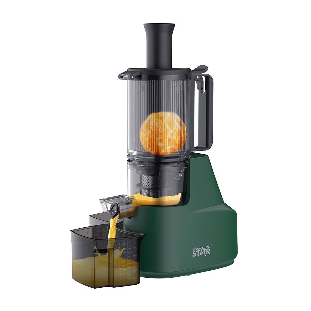 Winning Star Fruit Cold Press Juicer 300ml 200W Winning Star Fruit Juice Extractor