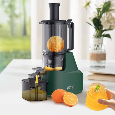 Winning Star Fruit Cold Press Juicer 300ml 200W Winning Star Fruit Juice Extractor
