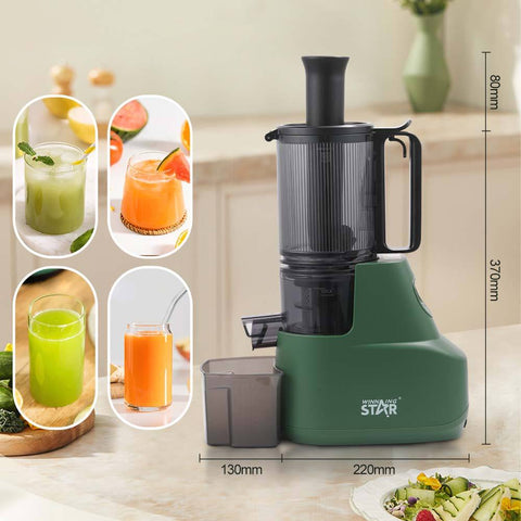 Winning Star Fruit Cold Press Juicer 300ml 200W Winning Star Fruit Juice Extractor