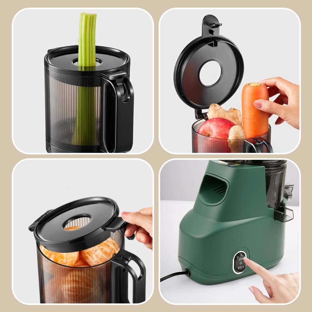 Winning Star Fruit Cold Press Juicer 300ml 200W Winning Star Fruit Juice Extractor