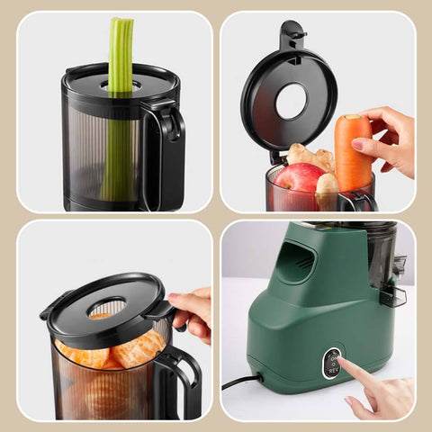 Winning Star Fruit Cold Press Juicer 300ml 200W Winning Star Fruit Juice Extractor