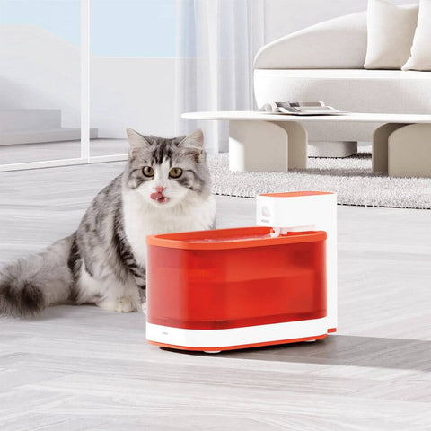 PAWAii Wireless Pet Water Fountain Pro for Cats and Dogs