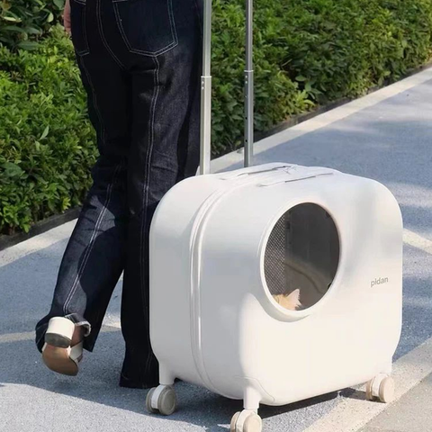 Suitcase for Transporting Petswith Integrated Fan and Light