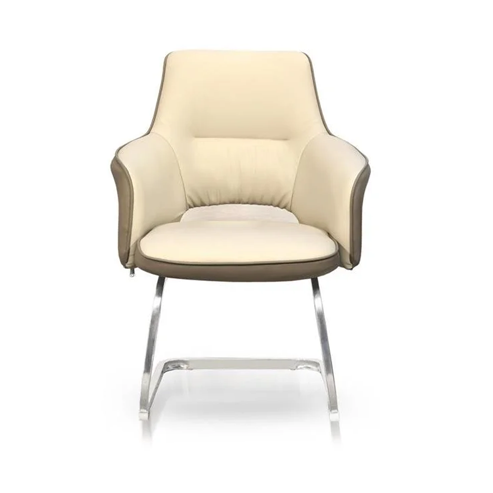 Olmecs Modern Low Back Executive Office Chair