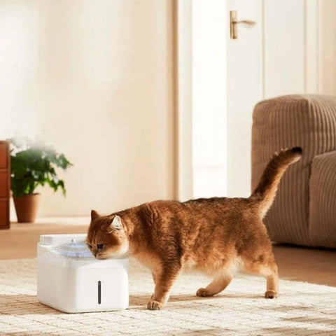 Xiaomi Smart Pet Fountain 2 Smart Water Dispenser 3L